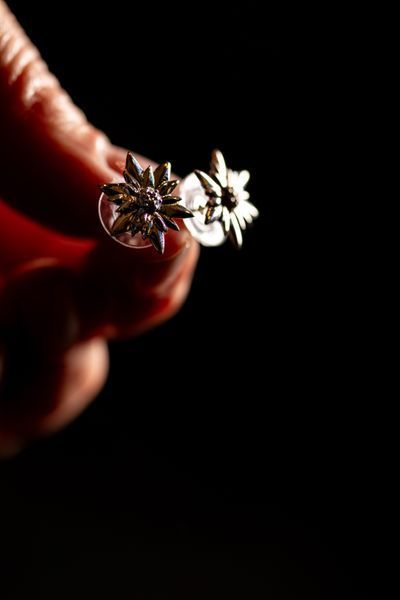 Сережки срібні 925 &laquo;Едельвейс&raquo; &mdash; квіткові сережки, подарунок туристу 03S020202 фото