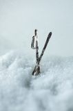 Sterling Silver Pendant &laquo;Skis&raquo; &mdash; Gift for Skiers and Snow Lovers
